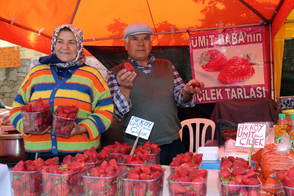 Aydın'da veganları buluşturan festival 5
