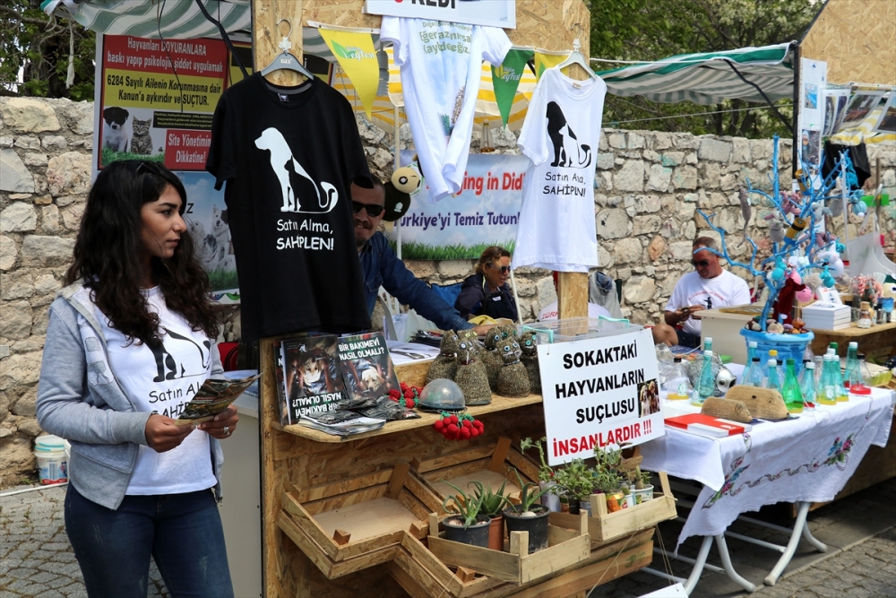 Aydın'da veganları buluşturan festival 6