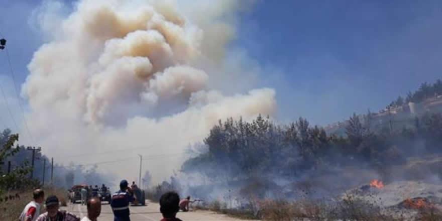 Bursa ve Antalya'da orman yangını meydana geldi