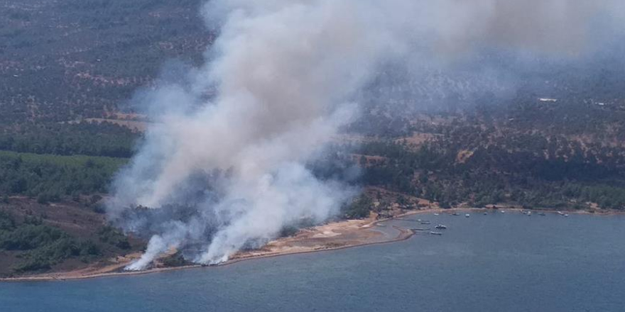 Cunda Adası'nda orman yangını çıktı