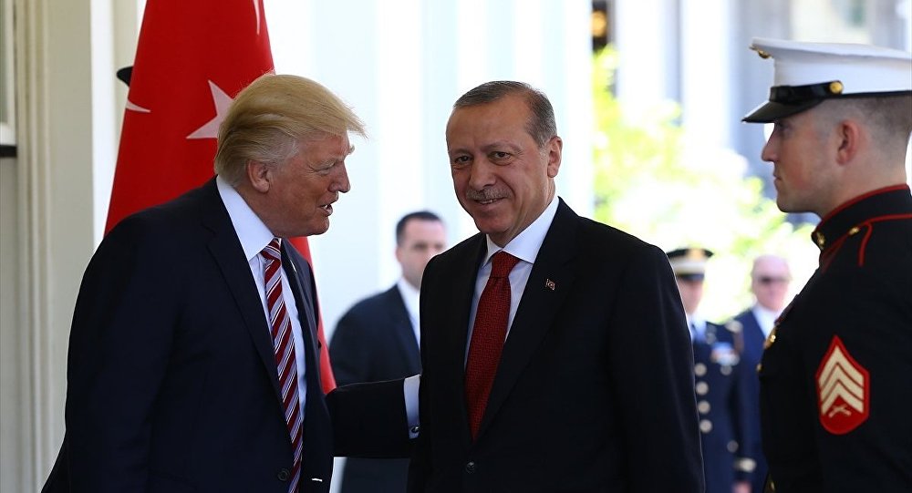 "Erdoğan, Suriye'de IŞİD kalıntılarını yok edeceğini söyledi"