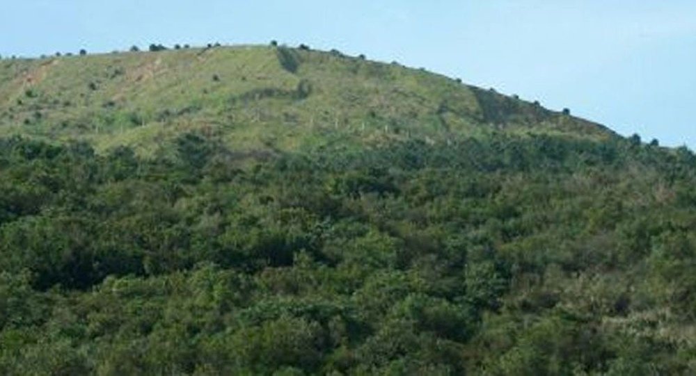 Ormancılar Derneği: İstanbul'dan daha büyük alan ranta açıldı