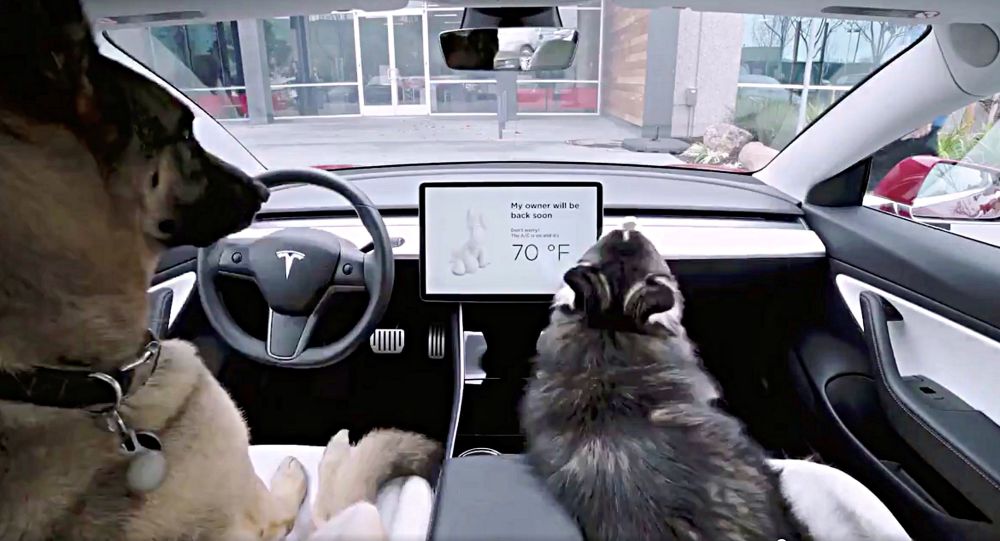 Tesla, araçlarındaki 'köpek modu' ile ilgili sorunu çözdü