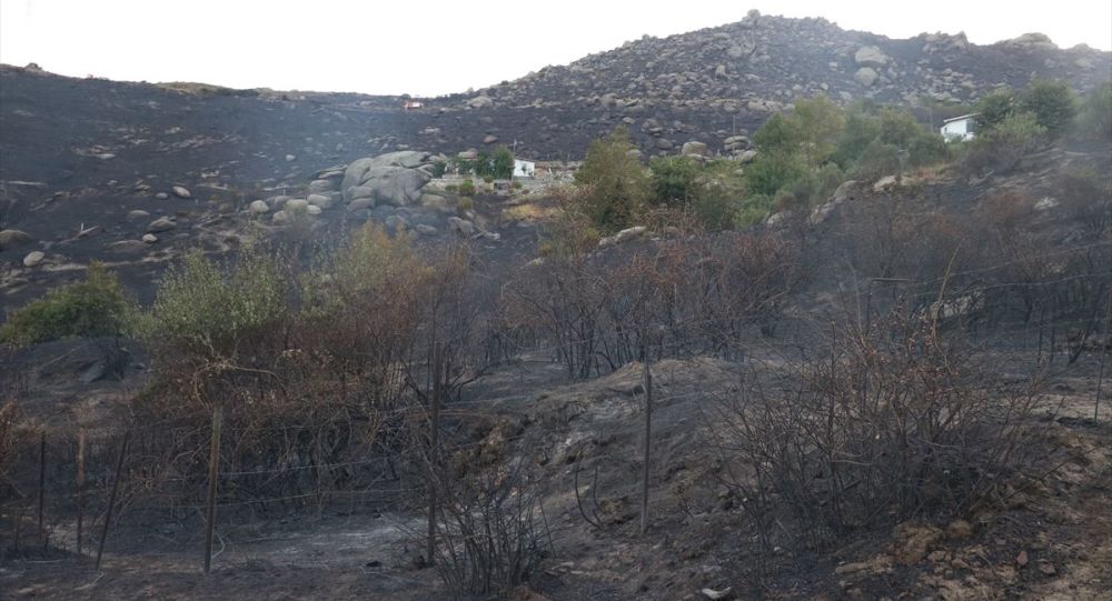 Marmara Adası'ndaki yangına ilişkin 1 kişi gözaltına alındı