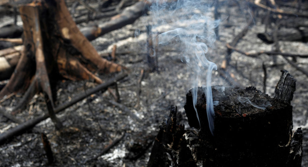 Bolsonaro: Amazon Ormanları'nı çevreciler yakıyor