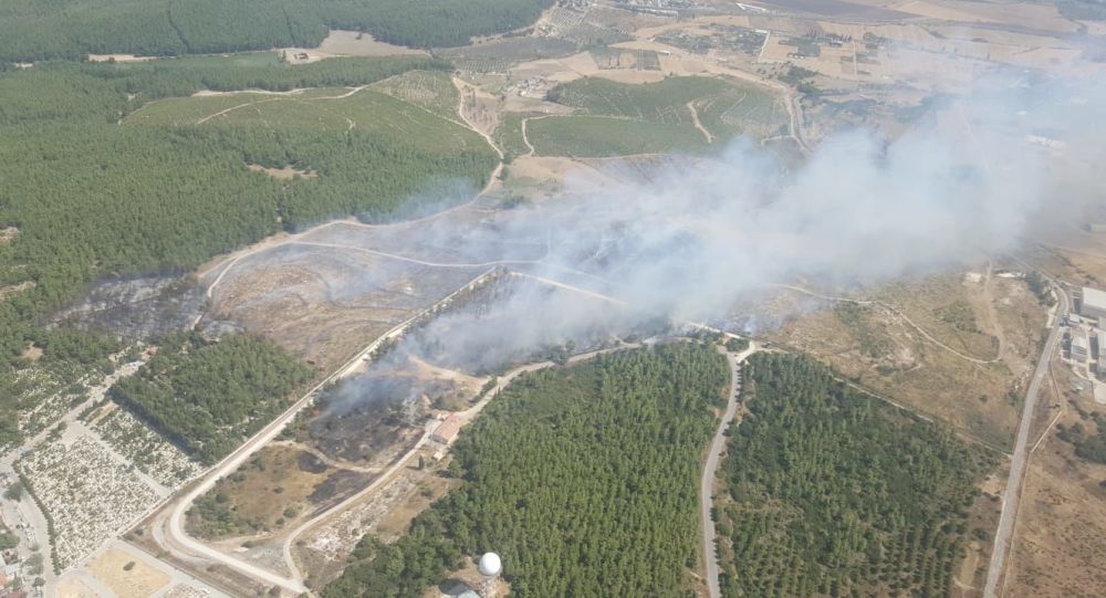 İzmir'de bir orman yangını daha
