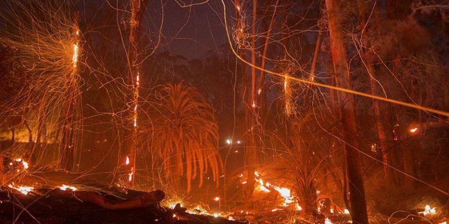 California'daki yangın 18 bin binayı tehdit ediyor