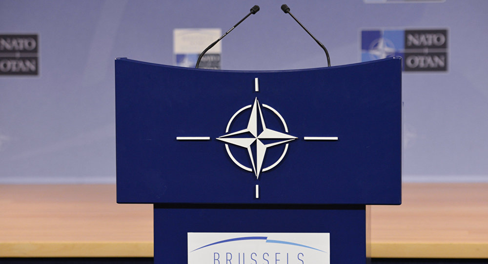 Fransa: Barış Pınarı Harekatı, NATO'nun önemiyle ilgili soru işareti doğurdu