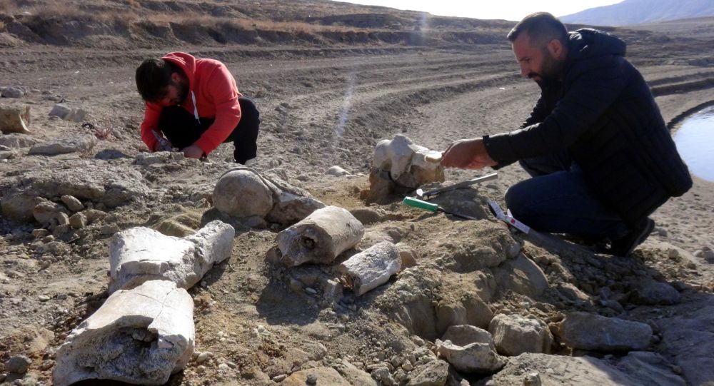 Balık tutmaya gelen kişi ihbar etti: Kayseri'de 7.5 milyon yıllık yeni fosil bulundu