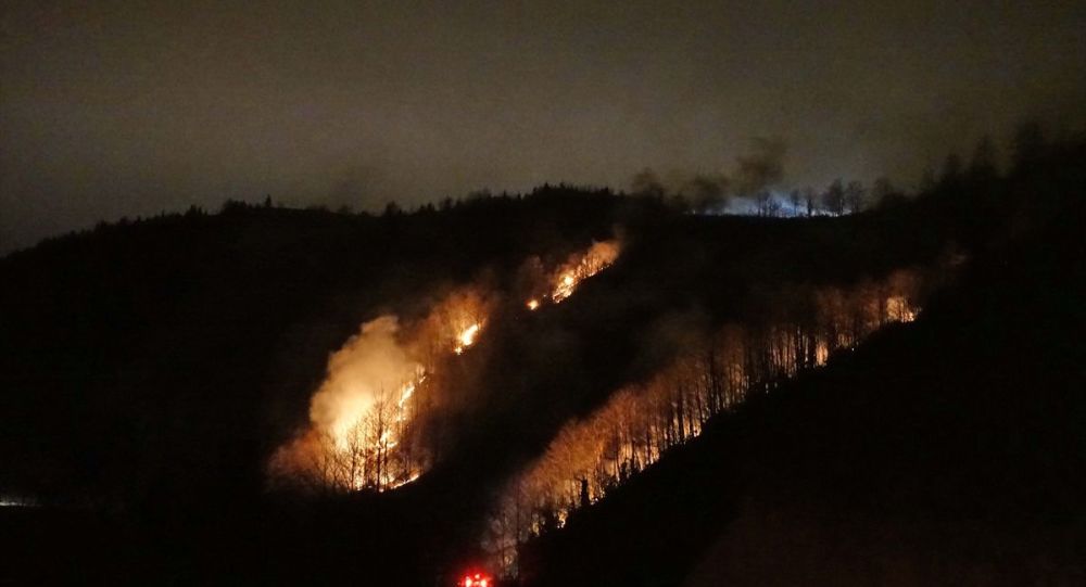 Trabzon'da örtü yangınına sebep olan Afgan çoban sınır dışı edildi