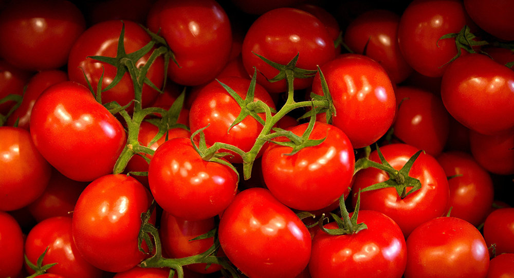 Greenpeace domates, yeşil biber ve salatalıkta zehirli madde tespit etti