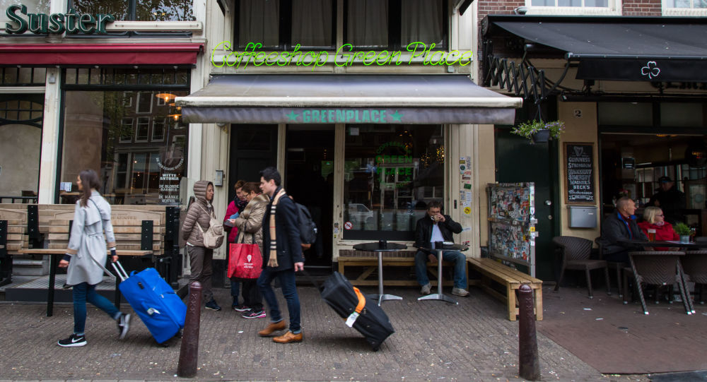 Amsterdam'dan turistlere karşı yeni hamle: Esrar satışının yasaklanması gündemde