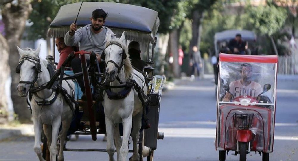 İBB, Adalar'daki at ve faytonlar için 90 milyon TL ödeyecek