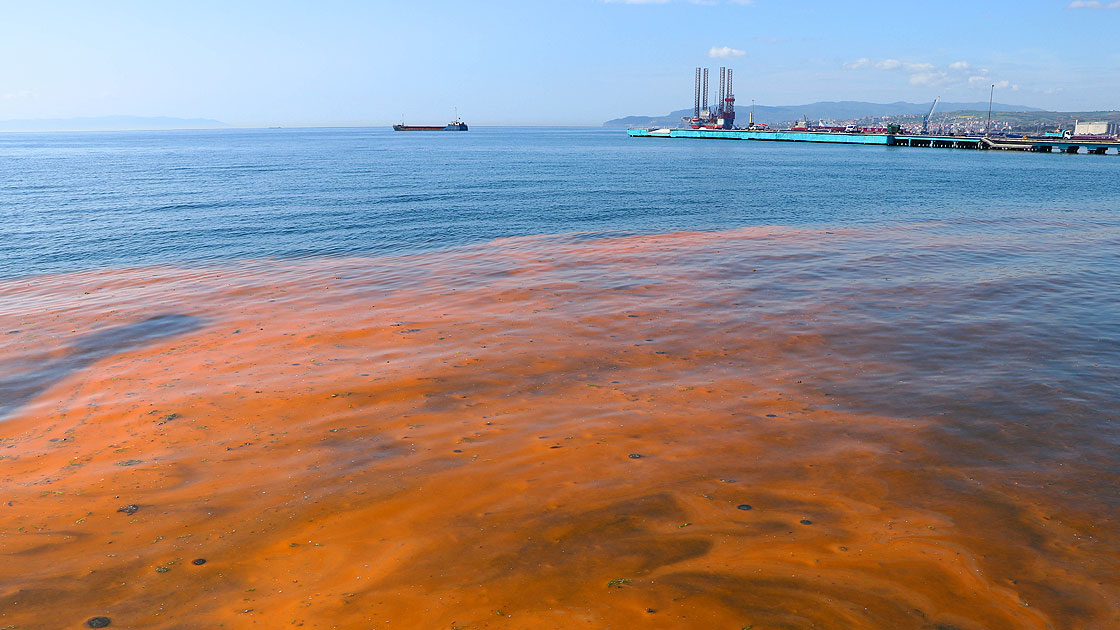 Planktonların çoğalmasıyla Marmara Denizi turuncuya büründü