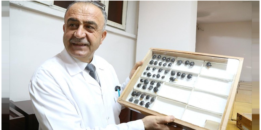 Türk profesör literatüre kazandırdığı böceğe babasının ismini verdi